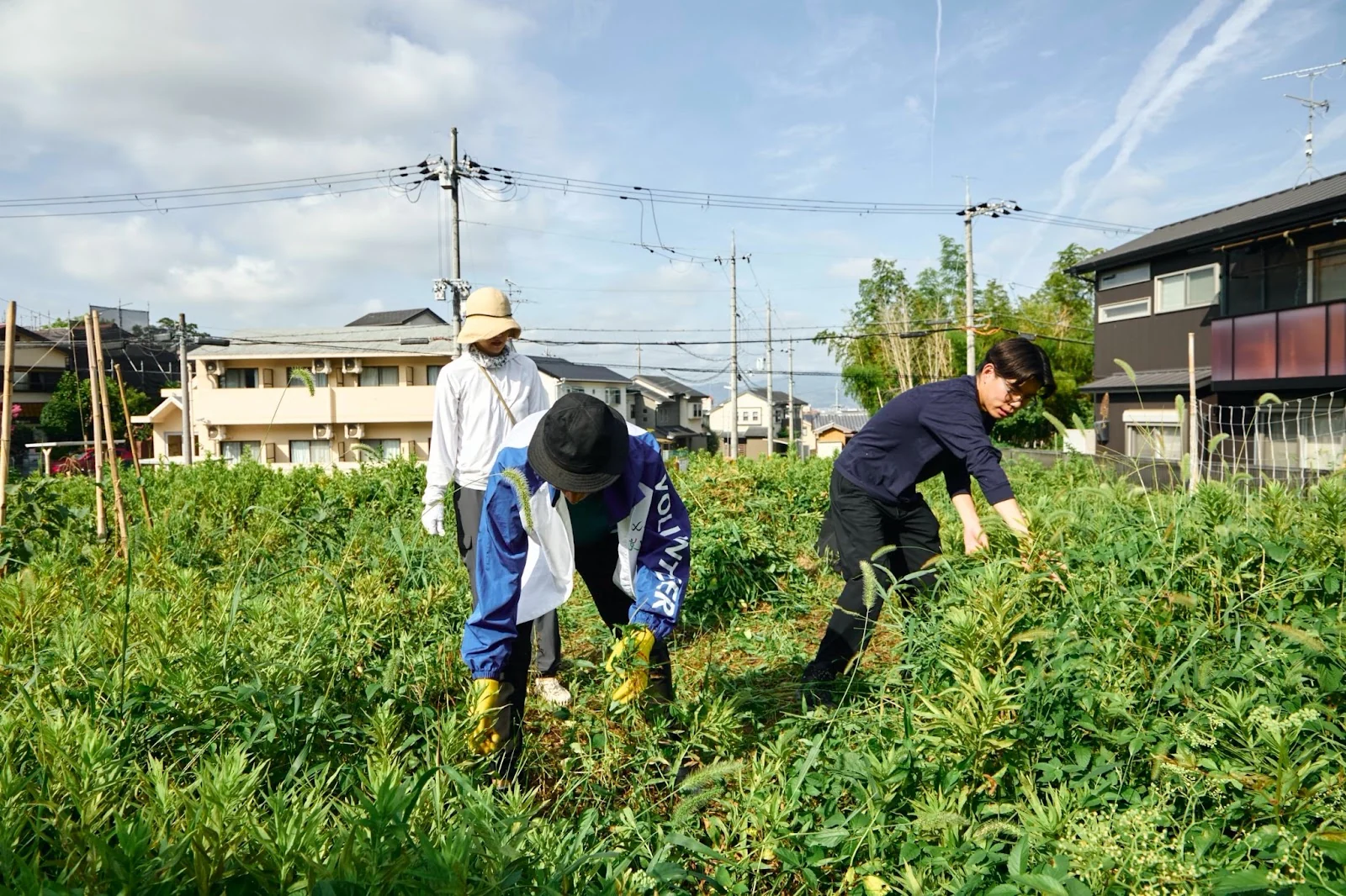畑に集まり、一緒に土に向き合う人たち